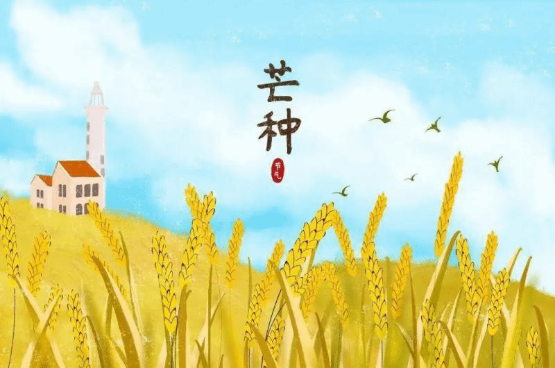 2D735