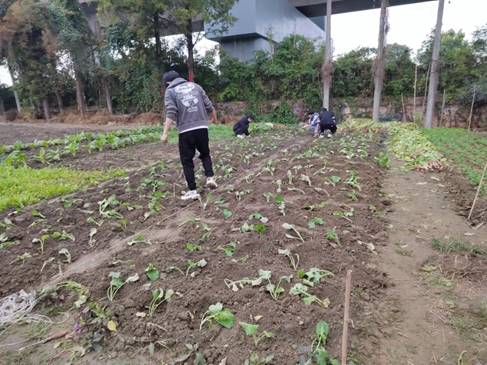 说明: C:\Users\ADMINI~1\AppData\Local\Temp\WeChat Files\8d00f1991942548af408bbfe3e5ca68.jpg