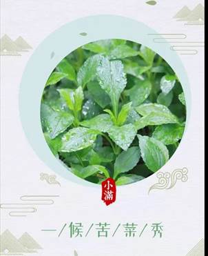QQ图片20230518164044