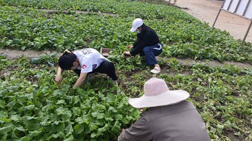 说明: C:\Users\Administrator\Documents\Tencent Files\376120476\Image\C2C\BBD71CE2463FF5D4CE36F26CDBA13874.png